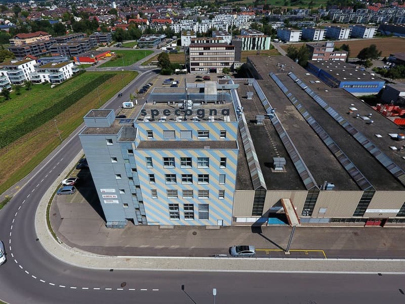 Gewerbehalle mit Laufkran (2)