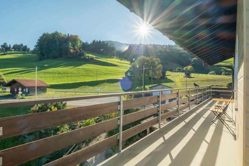 Auberge de montagne Gemsli (23)