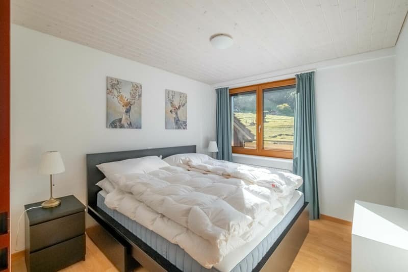 Auberge de montagne Gemsli (27)
