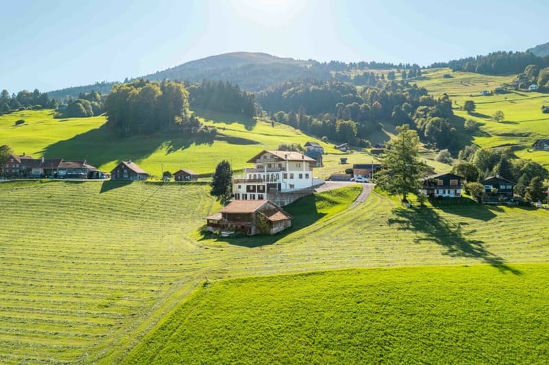 Auberge de montagne Gemsli (43)