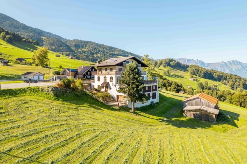 Auberge de montagne Gemsli (46)