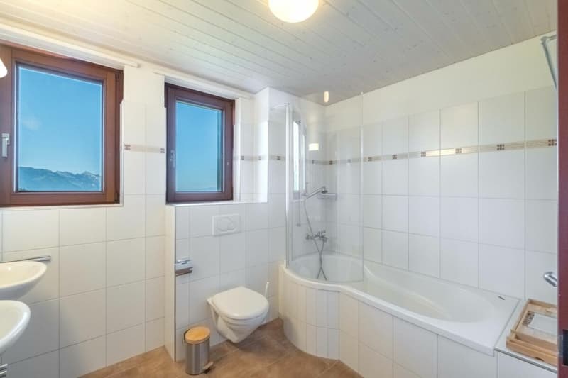 Auberge de montagne Gemsli (28)