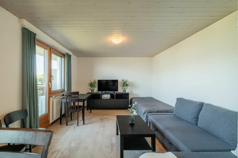 Auberge de montagne Gemsli (25)