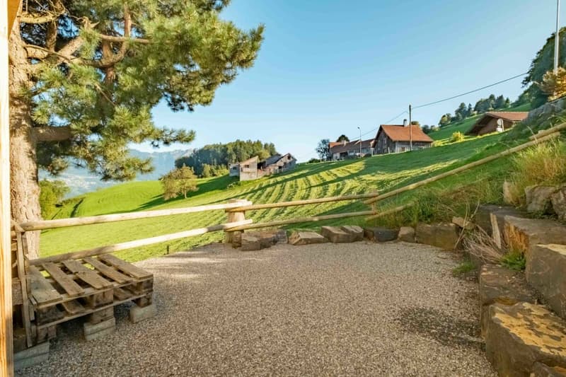 Auberge de montagne Gemsli (41)