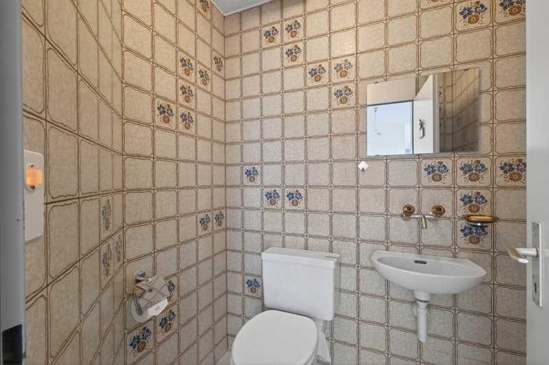Great potential, bright rooms and two terraces (19)