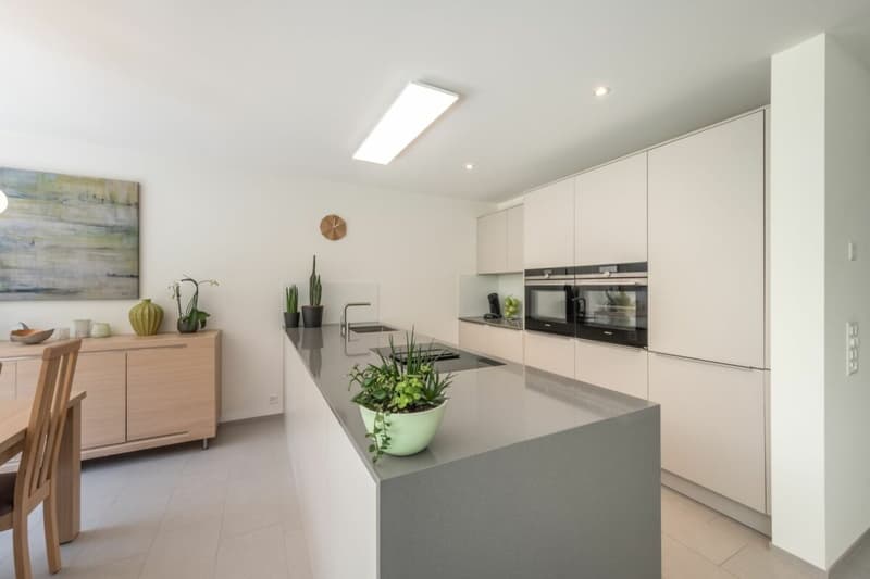 Dream home for your family! (6)
