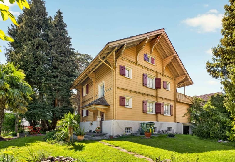 Charming old building for development or renovation (14)