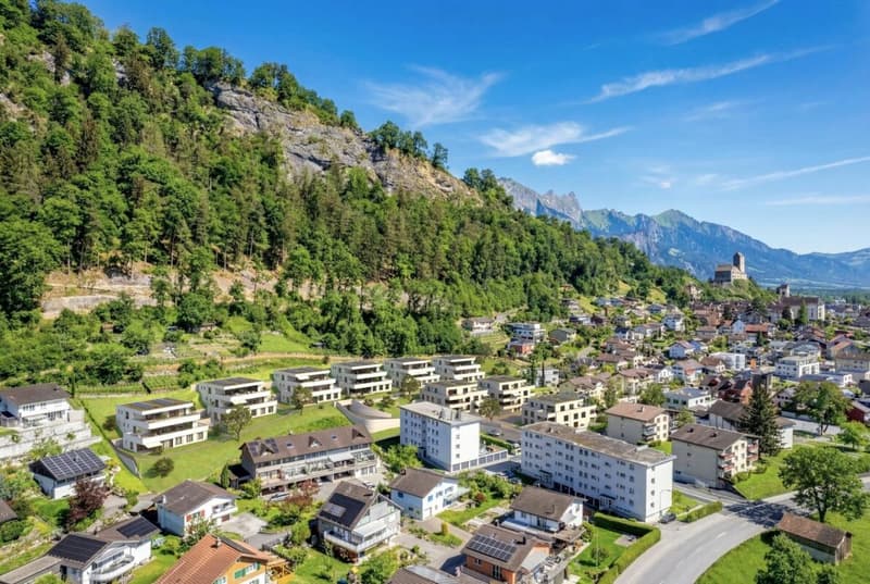 Grosszügige Attikawohnung mit Sonne pur (3)