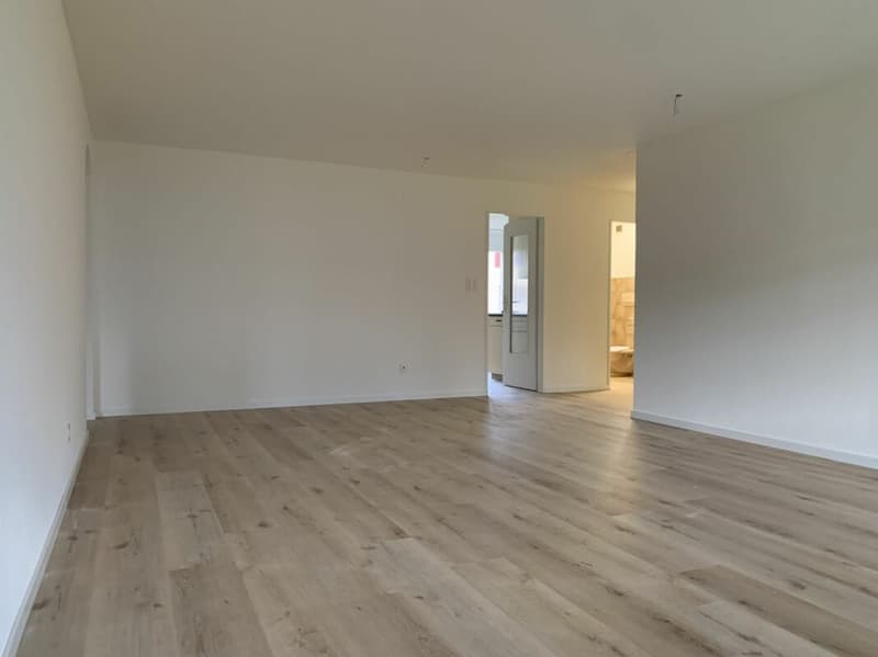 Appartamento di 4 1/2 locali appena ristrutturato a Romanshorn (4)