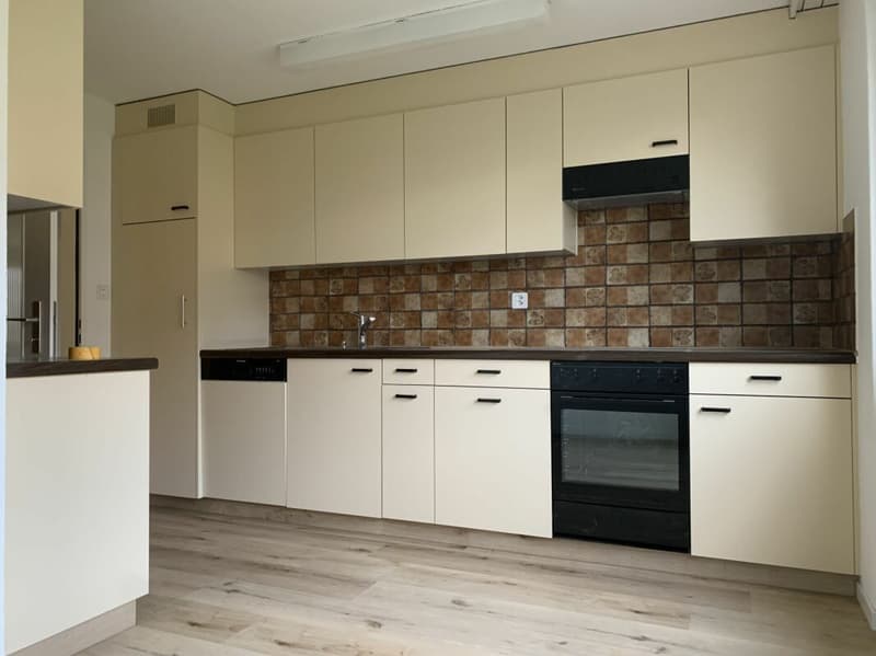 Appartamento di 4 1/2 locali appena ristrutturato a Romanshorn (3)