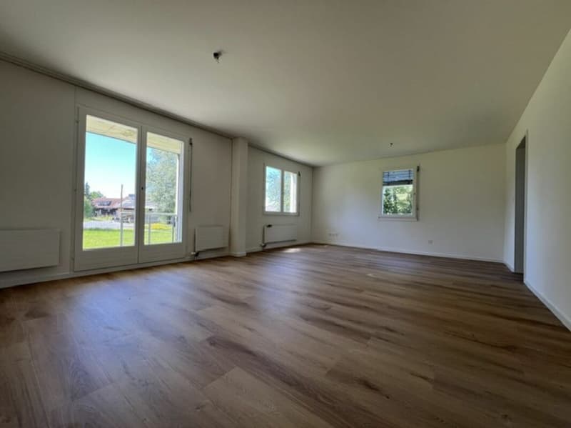Appartamento maisonette di 4 1/2 locali appena ristrutturato (3)