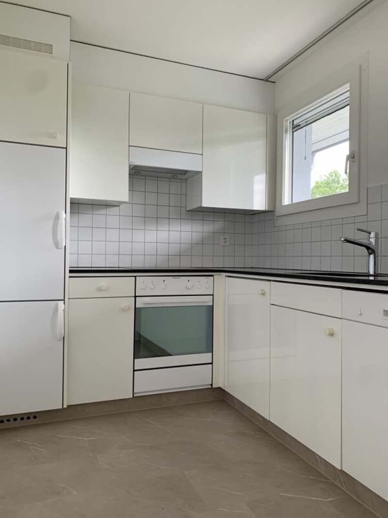 Appartamento maisonette di 4 1/2 locali appena ristrutturato (2)