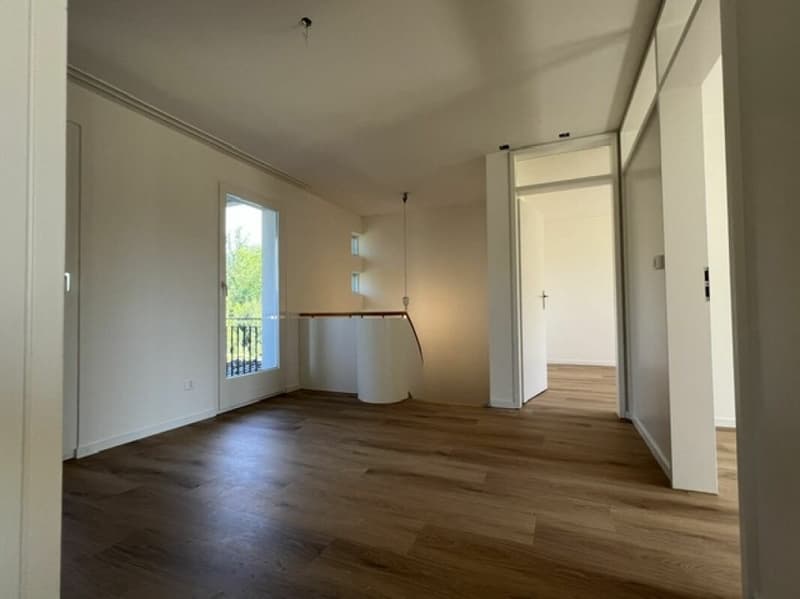 Appartamento maisonette di 4 1/2 locali appena ristrutturato (4)