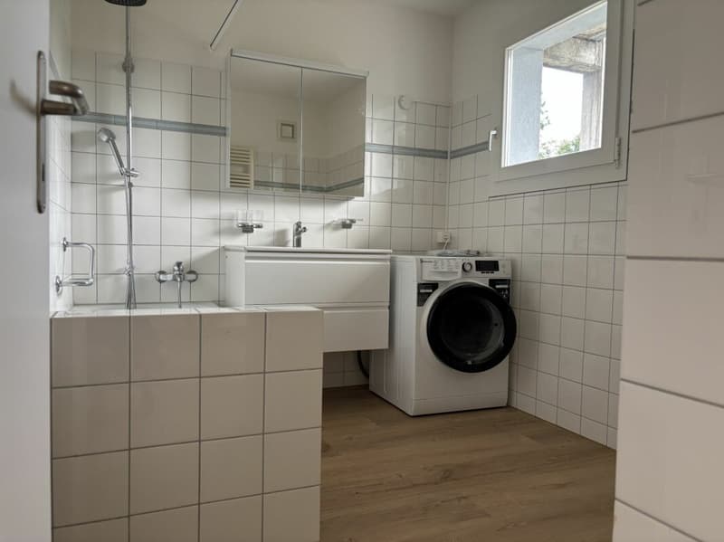 Appartamento maisonette di 4 1/2 locali ristrutturato di recente (6)