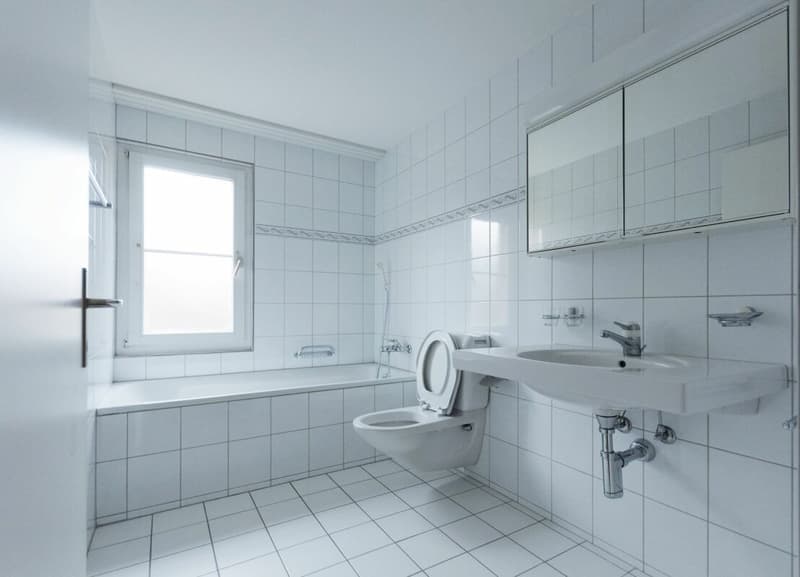 3.5 room apartment in Niederuzwil (9)