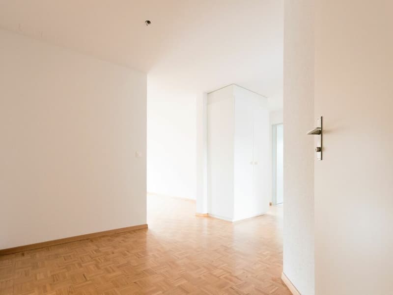 3.5 room apartment in Niederuzwil (5)