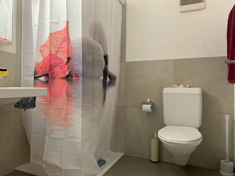 3.5 room apartment in Niederuzwil (7)