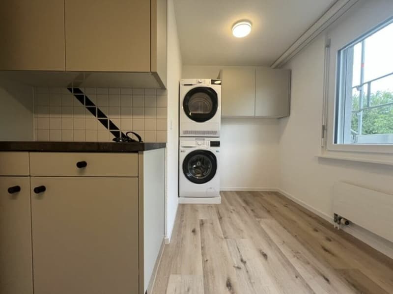 Frisch renovierte 4 1/2 Zimmer Wohnung in Roggwil (3)