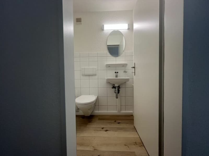 Frisch renovierte 4 1/2 Zimmer Wohnung in Roggwil (5)