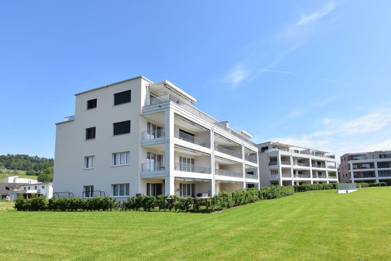 Sehr ruhige moderne Wohnung mit herrlicher Weitsicht in Sitterdorf bei Bischofszell (1)