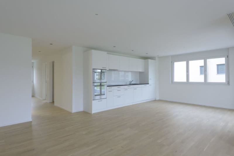 Sehr ruhige moderne Wohnung mit herrlicher Weitsicht in Sitterdorf bei Bischofszell (4)