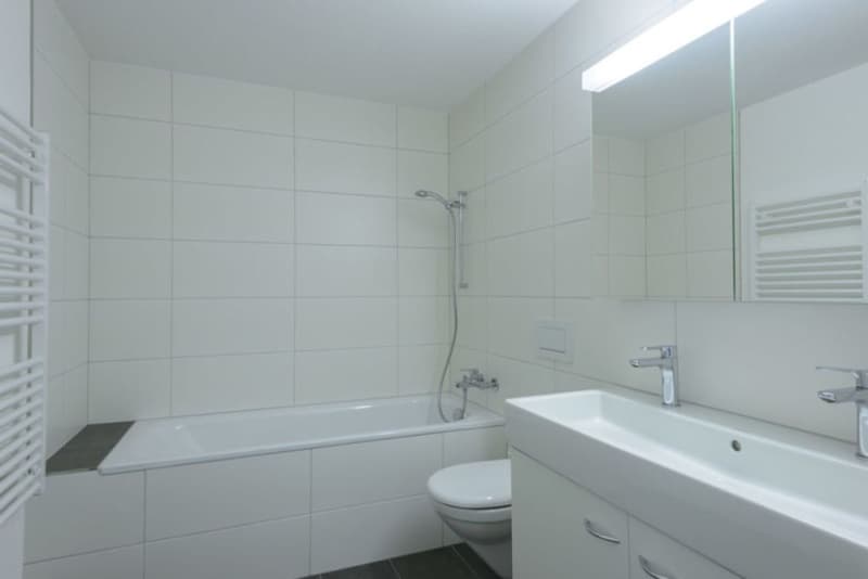 Sehr ruhige moderne Wohnung mit herrlicher Weitsicht in Sitterdorf bei Bischofszell (7)