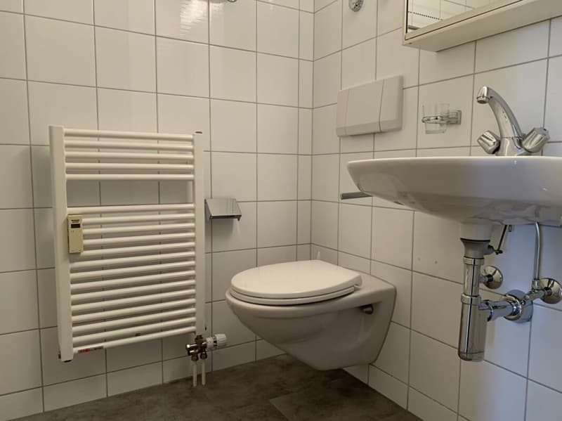 Helle und grosszügige 4 1/2 Zimmer Wohnung mit Seesicht (10)