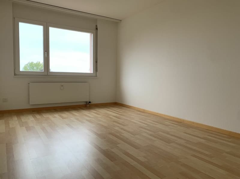 Helle und grosszügige 4 1/2 Zimmer Wohnung mit Seesicht (6)