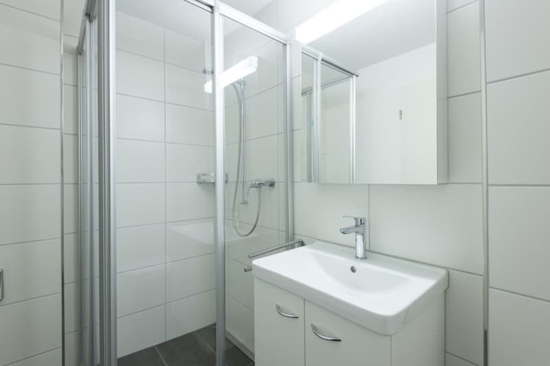 2 1/2 Zimmer Wohnung in Sitterdorf b/Bischofszell (5)
