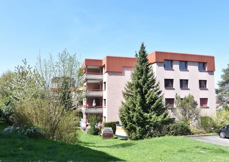Grosszügige 2 1/2 Zimmer Wohnung an ruhiger und sonniger Lage (1)