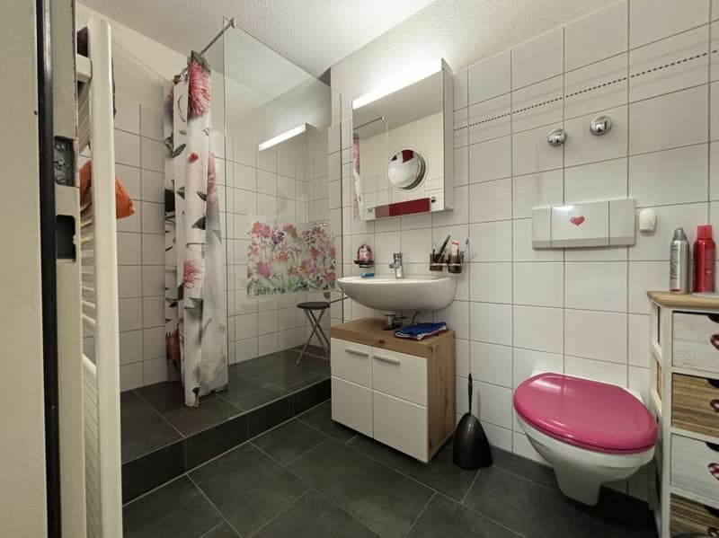 Grosszügige 2 1/2 Zimmer Wohnung an ruhiger und sonniger Lage (5)