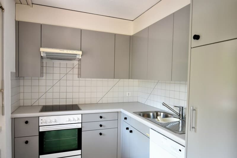 Grosszügige 2 1/2 Zimmer Wohnung an ruhiger und sonniger Lage (3)
