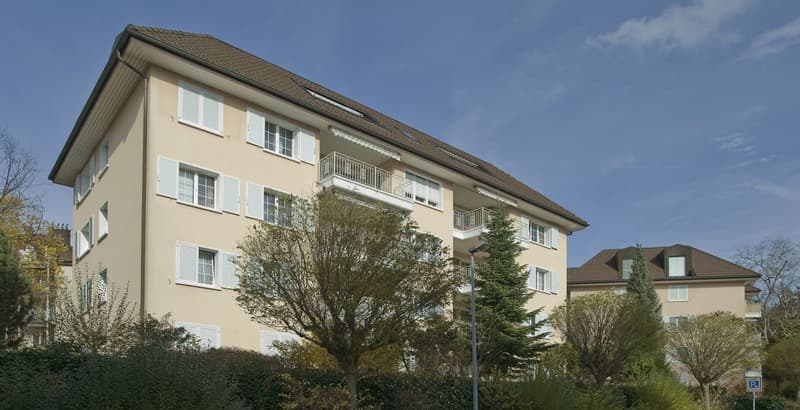 4 1/2 Zimmer-Wohnung 1.OG in St. Gallen (1)