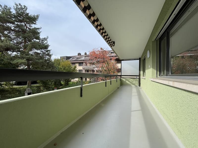 Frisch renovierte helle 4 1/2 Zimmer Wohnung an ruhiger Lage (6)