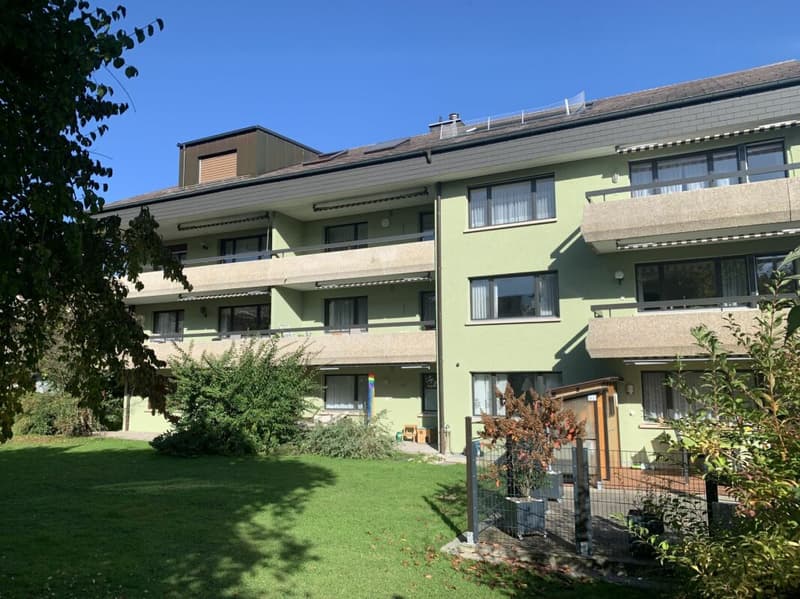 Frisch renovierte helle 4 1/2 Zimmer Wohnung an ruhiger Lage (1)