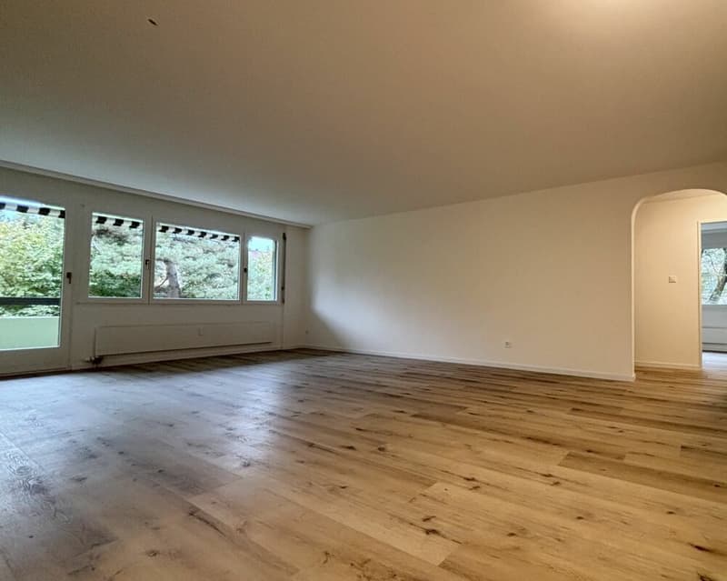 Frisch renovierte helle 4 1/2 Zimmer Wohnung an ruhiger Lage (5)