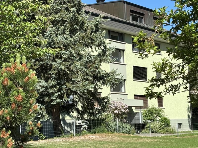 Frisch renovierte helle 4 1/2 Zimmer Wohnung an ruhiger Lage (3)