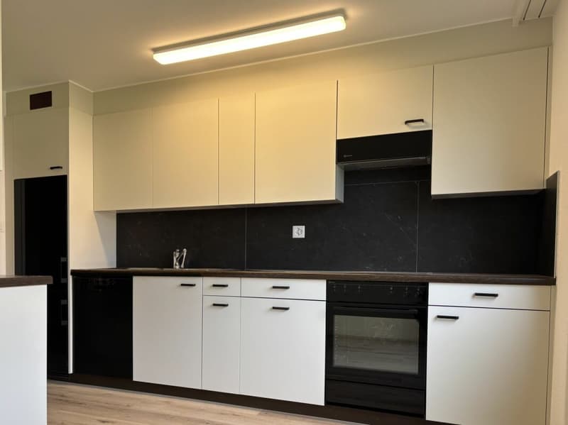 Frisch renovierte helle 4 1/2 Zimmer Wohnung an ruhiger Lage (7)