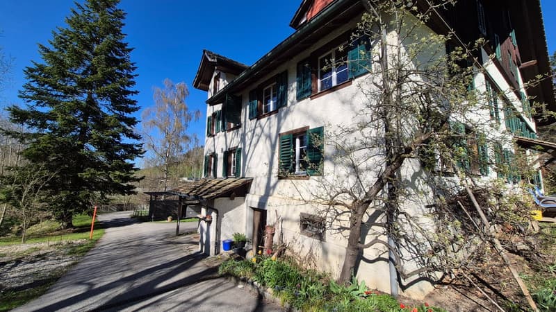 Appartement calme de 4 pièces avec jardin cherche sous-locataire temporairement jusqu'au 31.03.2027 en raison d'une rénovation totale (2)