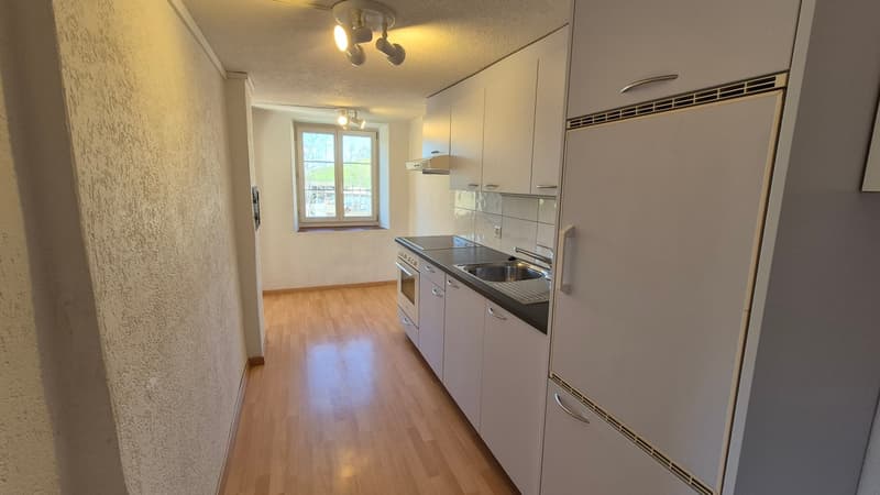Appartement calme de 4 pièces avec jardin cherche sous-locataire temporairement jusqu'au 31.03.2027 en raison d'une rénovation totale (6)