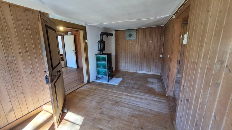 Appartement calme de 4 pièces avec jardin cherche sous-locataire temporairement jusqu'au 31.03.2027 en raison d'une rénovation totale (8)