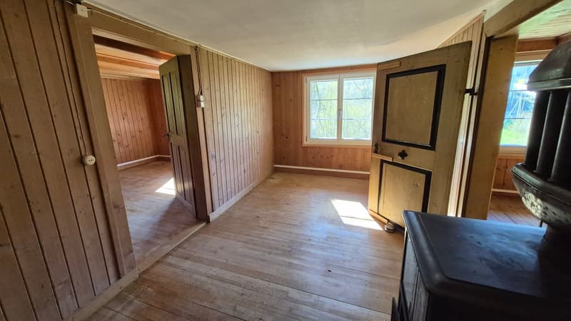 Appartement calme de 4 pièces avec jardin cherche sous-locataire temporairement jusqu'au 31.03.2027 en raison d'une rénovation totale (5)