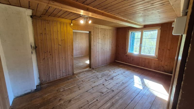 Appartement calme de 4 pièces avec jardin cherche sous-locataire temporairement jusqu'au 31.03.2027 en raison d'une rénovation totale (7)