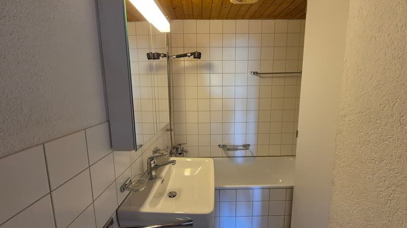 Appartement calme de 4 pièces avec jardin cherche sous-locataire temporairement jusqu'au 31.03.2027 en raison d'une rénovation totale (9)