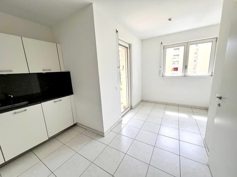 Residence Old Torchio - Viganello, Lugano (15)