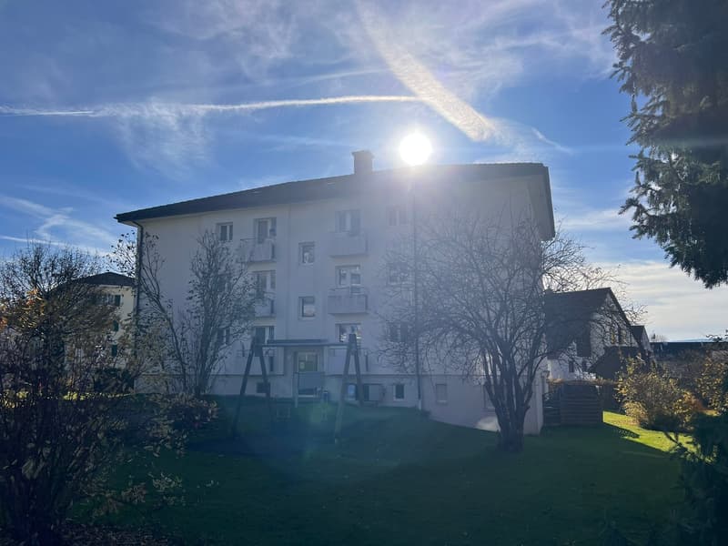 Garagenplatz in Doppelgarage in ruhiger Lage in Affoltern am Albis zu vermieten (1)
