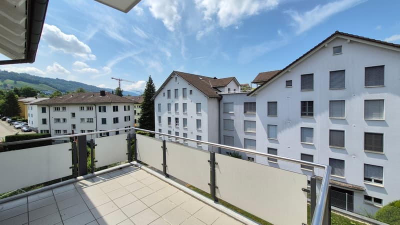 Zentral und ruhig gelegene 4.5-Zimmer-Wohnung in Baar-Inwil (3)