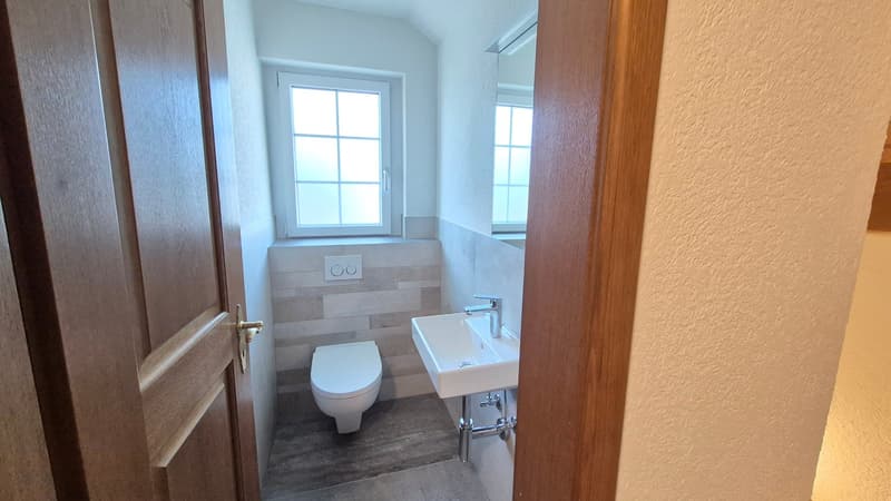 Grosszügiges 5.5-Zimmer-Einfamilienhaus an Toplage (15)