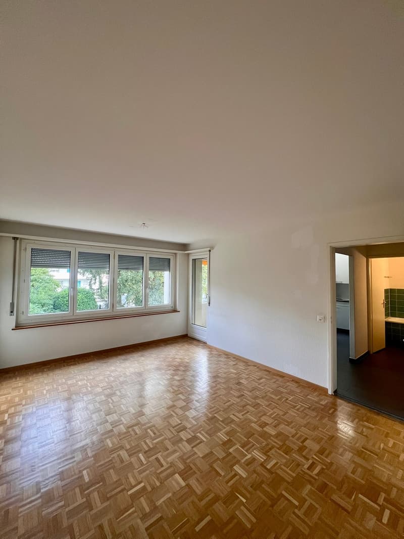 Cozy 1.5-room apartment with balcony in Affoltern am Albis (3)