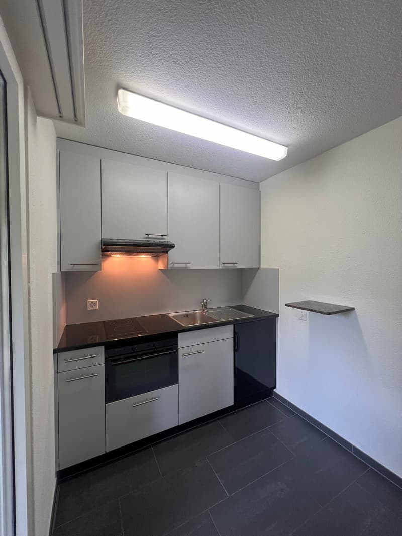 Cozy 1.5-room apartment with balcony in Affoltern am Albis (2)